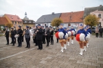 Zdjęcie: Narodowe Święto Niepodległości - fotogaleria