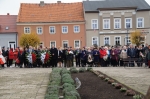 Zdjęcie: Narodowe Święto Niepodległości - fotogaleria